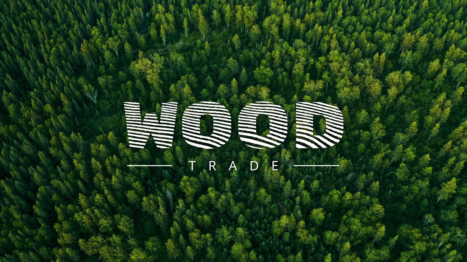 Разработка интернет-магазина компании «Wood Trade» в Ейске